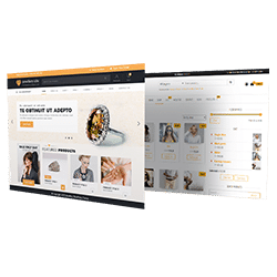 Audit Referencement Toulouse Kit-Web